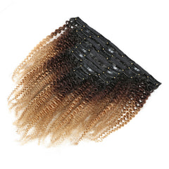 Gradient Color Human Hair Clip-ins