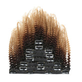 Gradient Color Human Hair Clip-ins