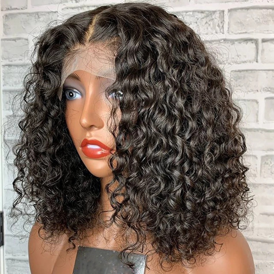 Curly Human Hair Wig